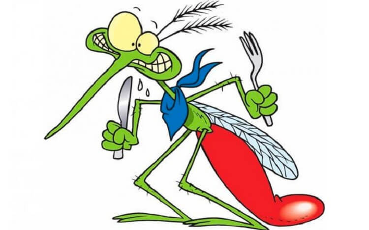 8 запахов, которые заставят комара отказаться от Вашей крови