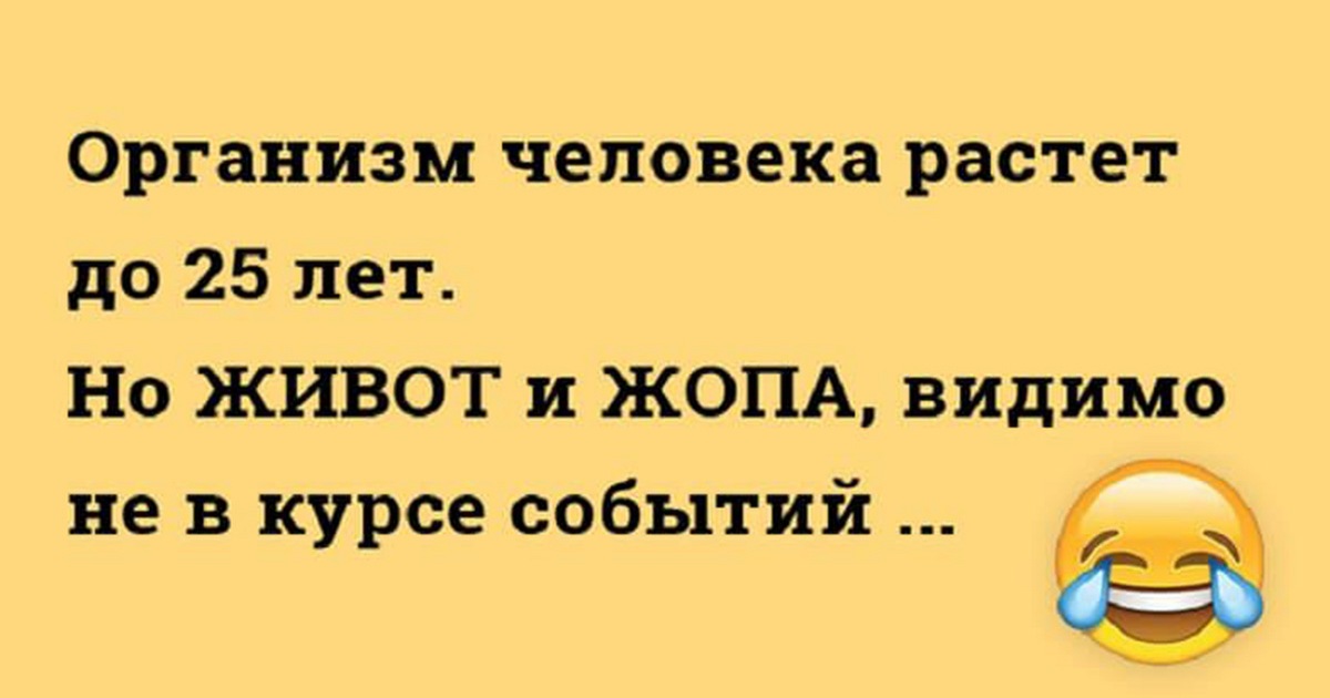 Картинки анекдоты для поднятия настроения