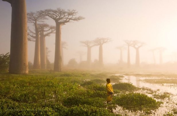 20 самых шедевральных снимков National Geographic