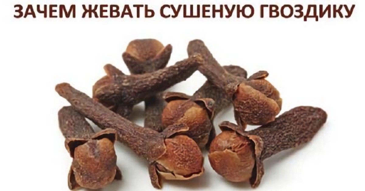 Зачем нужно жевать сушеную гвоздику. Узнайте и вы