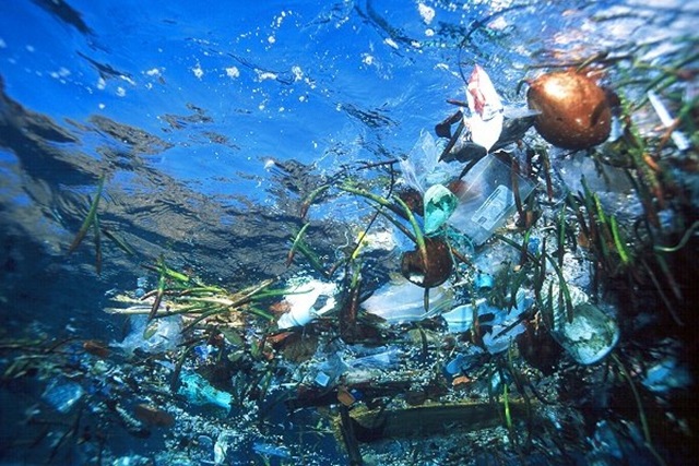 В Тихом океане из пластикового мусора образовался целый остров