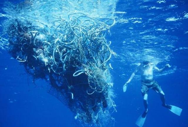 В Тихом океане из пластикового мусора образовался целый остров