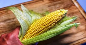 Бабулька-соседка показала, как нужно варить кукурузу