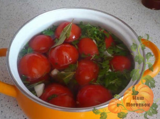 Квашеные помидоры на зиму в кастрюле, ведре и банках: вкуснятина!